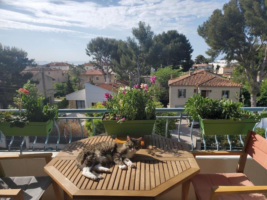 Lou Beach Home 75 M2 A 300 M De La Plage Avec Vue Mer La Ciotat Esterno foto